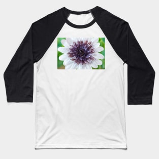 Osteospermum  Flower Power Double Series  Double White Baseball T-Shirt